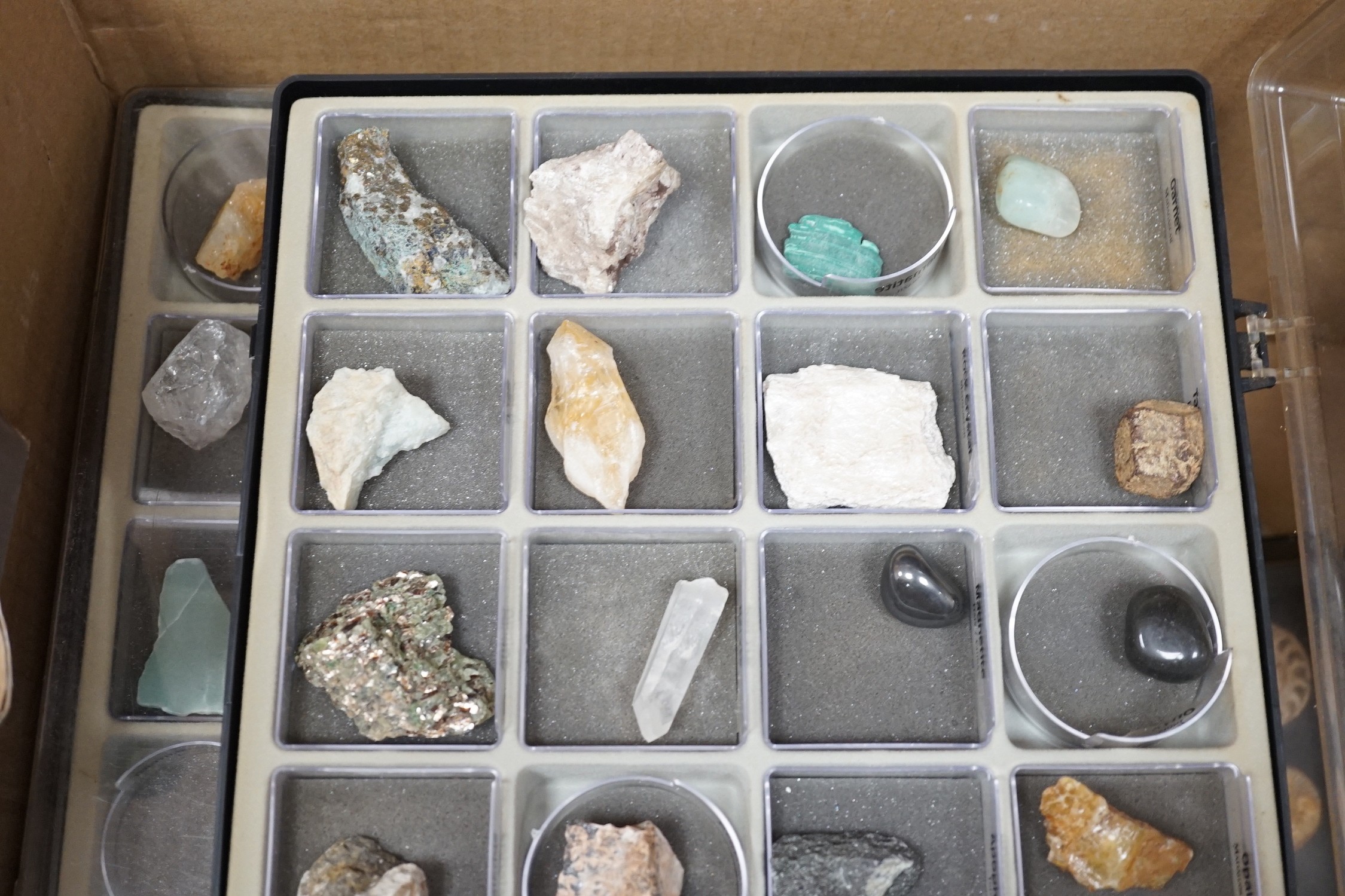 A group of assorted mineral and fossil specimens - Image 2 of 3