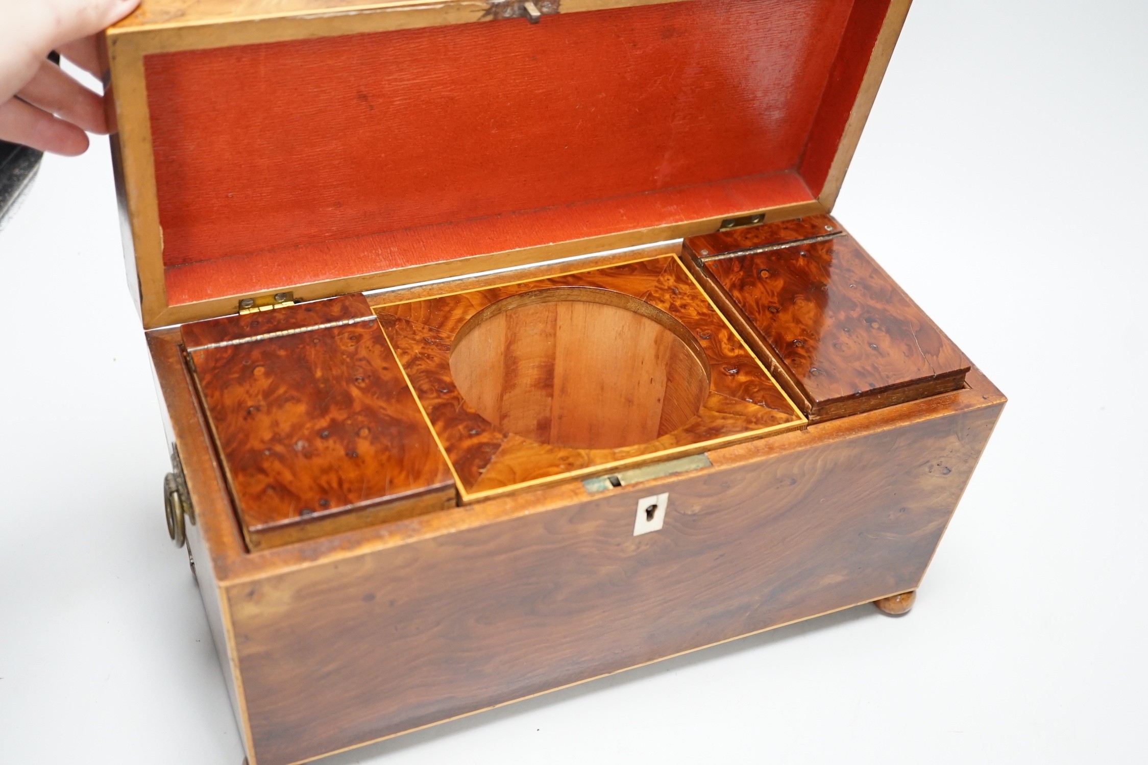 A Regency burr yew tea caddy (partly sun-bleached). 33cm wide Ivory submission reference: 1JYSY7TC - Image 2 of 3