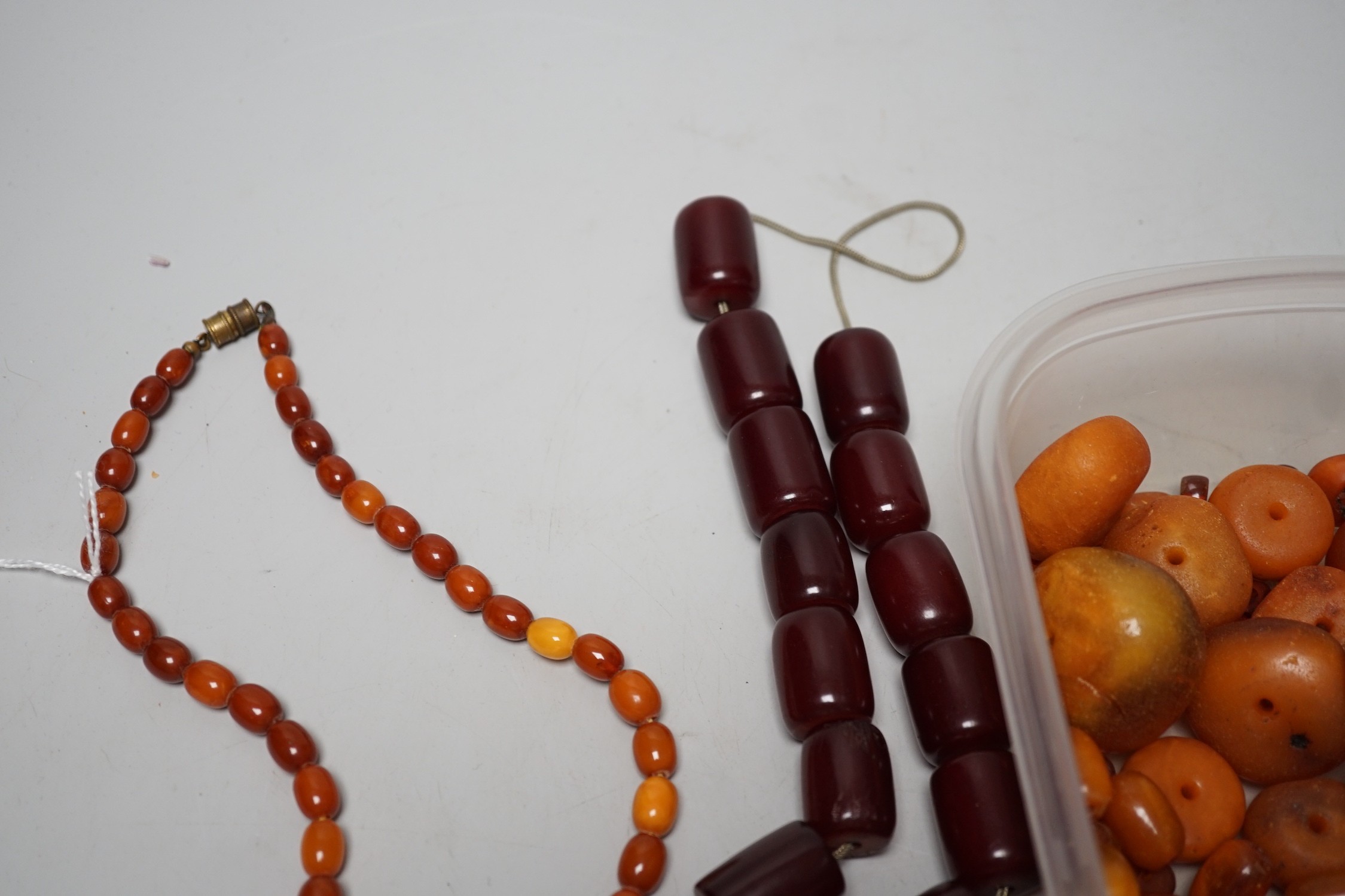 A single strand graduated amber bead necklace, 54cm gross weight 30 grams, together with loose amber - Image 5 of 7