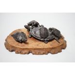 A Japanese Meiji period bronze turtle group, signed to base, (a.f.), 16cm wide