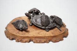 A Japanese Meiji period bronze turtle group, signed to base, (a.f.), 16cm wide