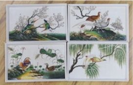 19th century Chinese School, four gouaches on pith paper, Studies of birds in landscapes, 18 x 30cm