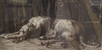 Herbert Dicksee, R.E. (1862-1942), drypoint etching, Deer hound with master's glove, signed in
