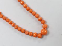 A single strand graduated coral bead necklace, with 9ct clasp, 52cm, together with a pair of coral