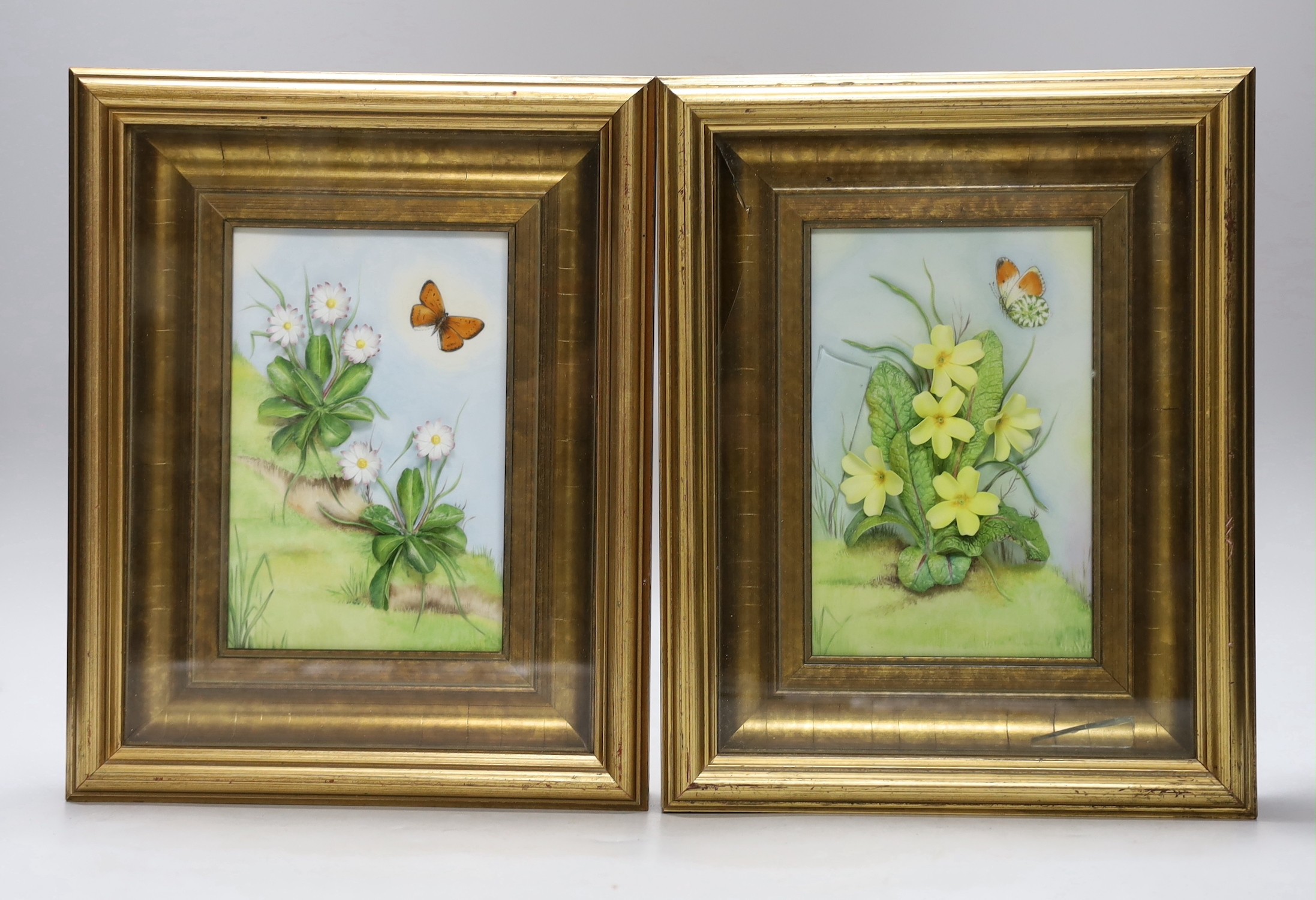 A pair of framed Connoisseur of Malvern, ‘Shakespeare’s Flower Daisies’, bone china plaques, 7cms