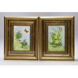 A pair of framed Connoisseur of Malvern, ‘Shakespeare’s Flower Daisies’, bone china plaques, 7cms