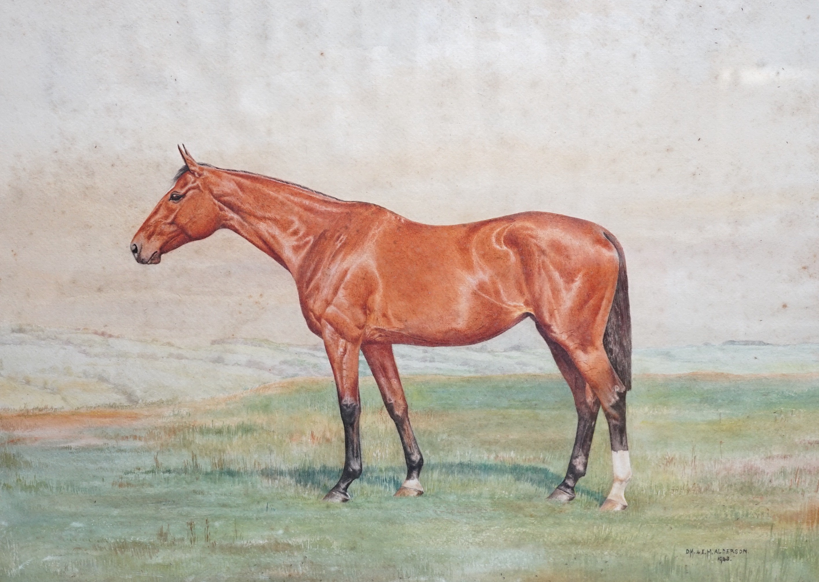 D M & E M Alderson, pair of watercolours, Portraits of racehorses c.1943/48 raced at Calcutta,