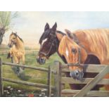 A. Muller, oil on canvas, Study of three horses at a farm gate, signed, 54 x 70cm