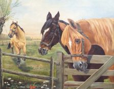 A. Muller, oil on canvas, Study of three horses at a farm gate, signed, 54 x 70cm