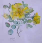 Brenda Moore (1909-1995), two watercolours, 'Single yellow rose' and 'Yellow violet', signed, 16 x