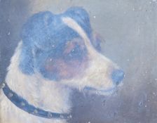 Manner of Alfred Wheeler (1852-1932), oil on board, Study of a Jack Russell's head, 18 x 23.5cm