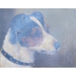 Manner of Alfred Wheeler (1852-1932), oil on board, Study of a Jack Russell's head, 18 x 23.5cm