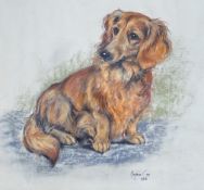 Marjorie Cox (1915-2003), pastel, Portrait of a long-haired daschund, signed and dated 1965, 41 x