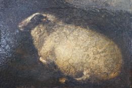19th century English School, oil on board, Study of a sheep, 12.5 x 18cm