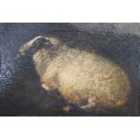 19th century English School, oil on board, Study of a sheep, 12.5 x 18cm