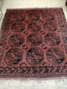 A Bokhara red ground rug, 180 x 156cm