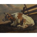 Attributed to Paulus Potter (1625-1654), oil on wooden panel, Study of a seated cow, bears signature