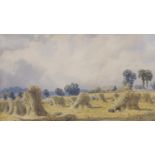English School c.1900, watercolour, Study of a cornfield, 15 x 26cm, housed in an ornate giltwood in