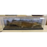 A cased taxidermy pike, 97cm long