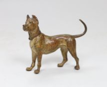 A Viennese cold painted bronze figure of a Great Dane, 10cm