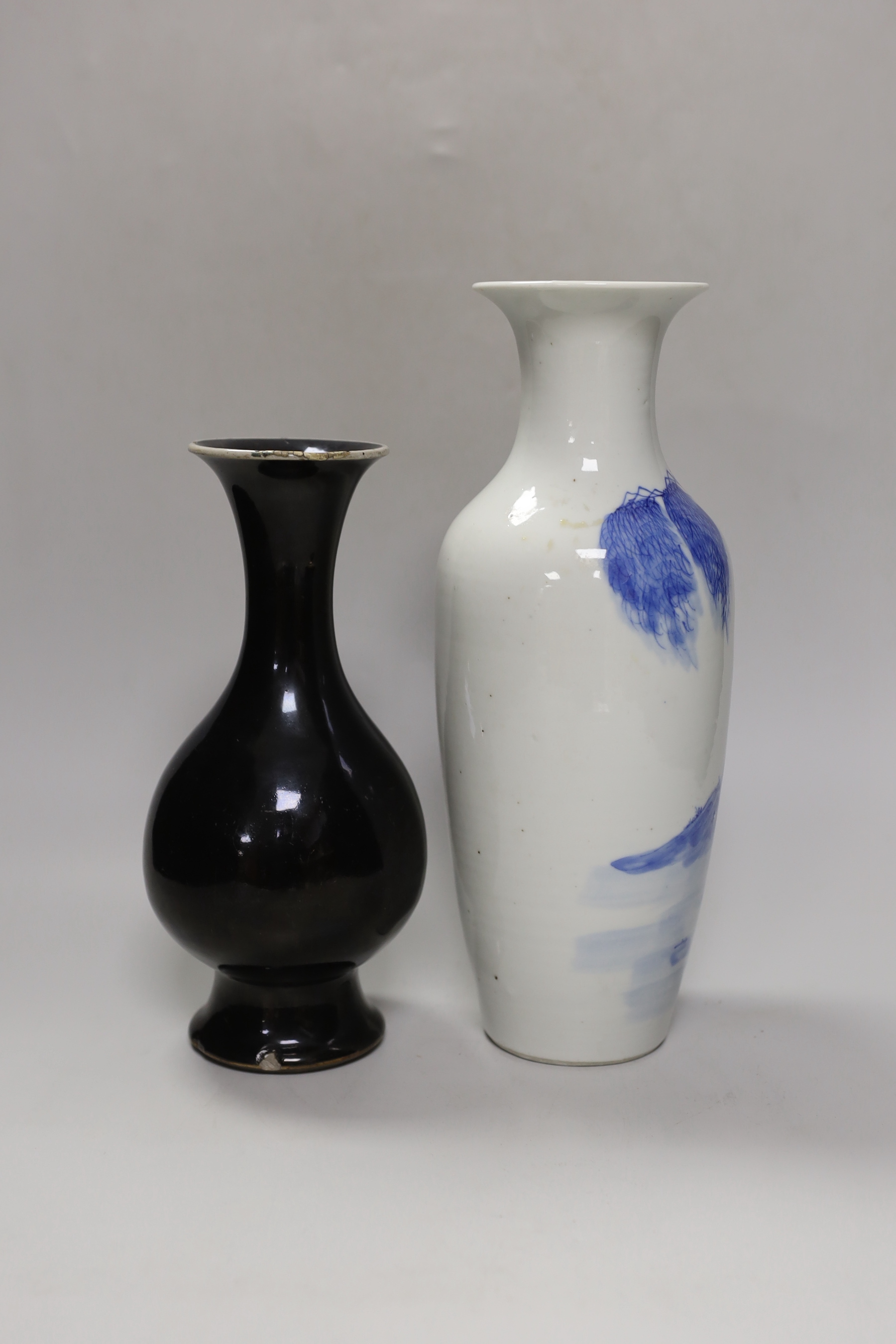 A Chinese mirror-black glazed vase, 18th century and a 19th century Chinese blue and white ' - Image 2 of 4