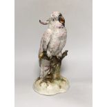 A Dresden porcelain cockatoo, 28cm