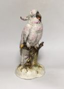 A Dresden porcelain cockatoo, 28cm