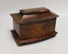 A late 19th century tortoiseshell tea caddy, 22.5cm wide Ivory submission reference: DBY9LD5Z