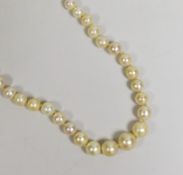 A single strand graduated natural pearl necklace (needs re-stringing), with accompanying Gem & Pearl