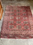 A Bokhara red ground rug, 150 x 118cm