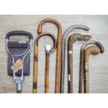 A group of eight various wood walking sticks including a carved ‘dog head’ stick, a cane and a