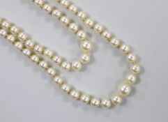 A Mikimoto double strand graduated cultured pearl necklace, with cultured pearl set white metal