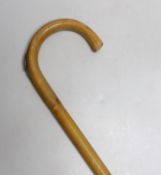 A horse measuring cane, 100cm long