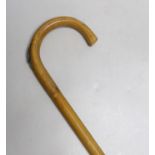 A horse measuring cane, 100cm long