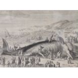 Gilham van der Gouwen (1657-1720), engraving, A Beached Whale between Scheveningen and Katwijk,