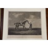 After Henry Bernard Chalon, engraved print, 'Violante, F. Buckle Up', engraved by W. Ware,