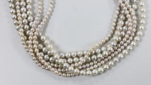 A modern multi-strand graduated cultured pearl choker necklace, with 9ct white metal clasp, 36cm.