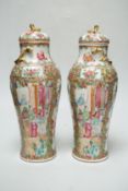 A pair of Chinese famille rose Canton baluster jars and covers with lion dog finials, 32cm high