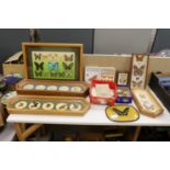 A collection of exotic butterfly and moth specimens in nine display cases and three related books