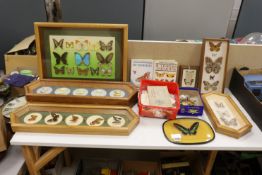 A collection of exotic butterfly and moth specimens in nine display cases and three related books