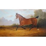 A.E. Darby (19th C.), oil on canvas, Chestnut horse in a landscape, signed and dated 1846, 50 x
