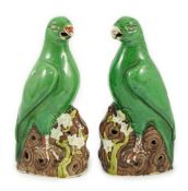 A pair of Chinese green glazed models of parrots, Kangxi period, each perched on a tree bough with