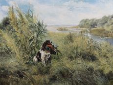 § § Henry Wilkinson (English, 1921-2011) 'Springer retrieving'oil on canvassigned50 x 64cm***