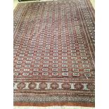 A Bokhara style burgundy ground carpet, 360 x 280cm
