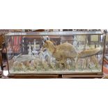 An impressive contemporary taxidermy group of a fox in pursuit of a rabbit, glass cased, overall 138