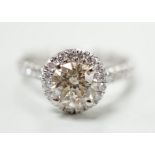 A modern platinum and single stone diamond set ring, with diamond chip set border and shoulders,