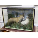 A cased taxidermy fox and chicken, overall 63 x 91 x 32cm