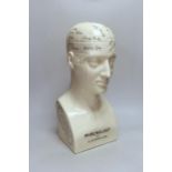 A large Phrenology bust, inscribed L.N. Fowler, 44cm