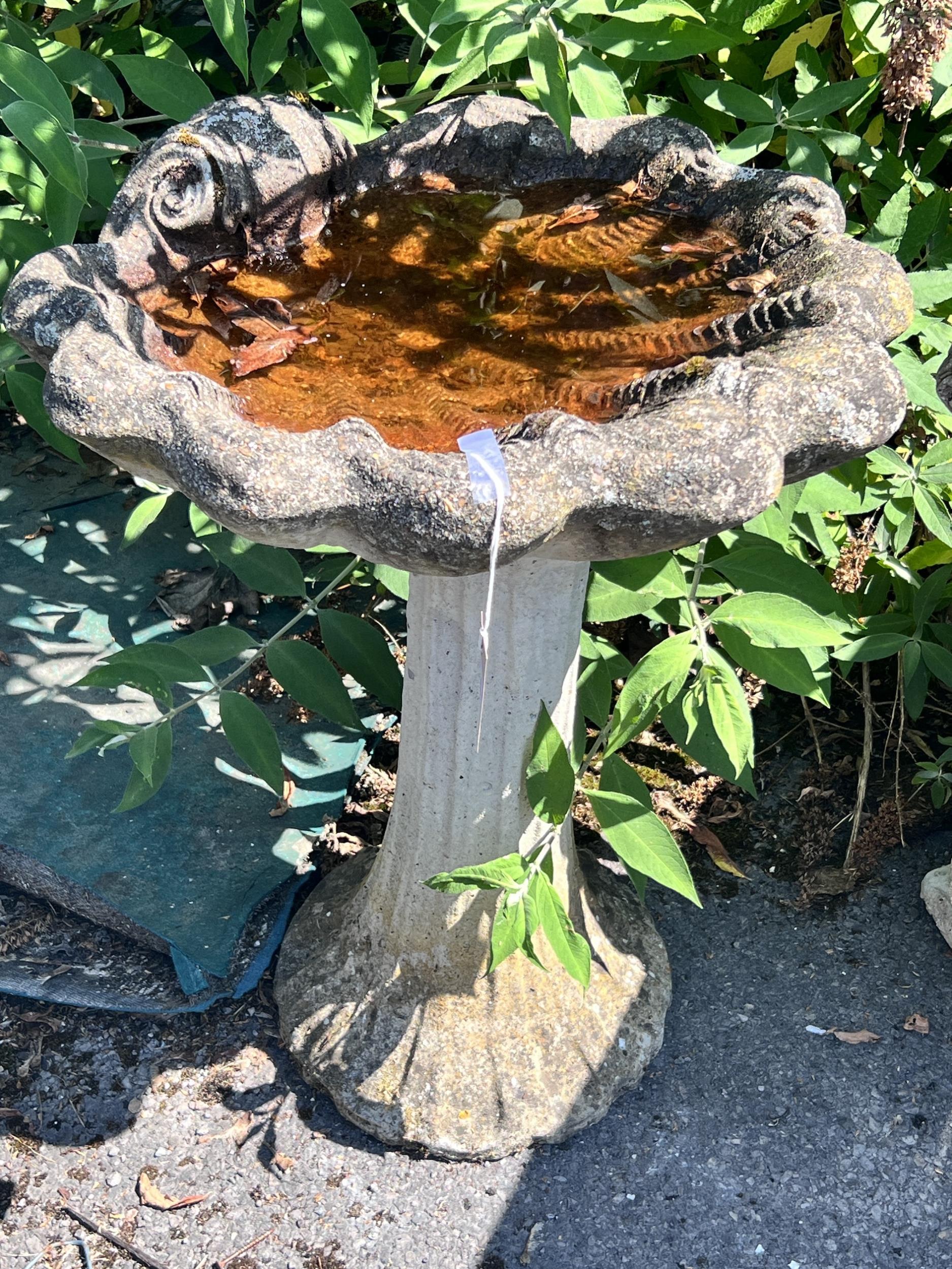 A reconstituted stone scallop shell bird bath, width 54cm, height 68cm - Image 4 of 6