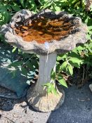 A reconstituted stone scallop shell bird bath, width 54cm, height 68cm